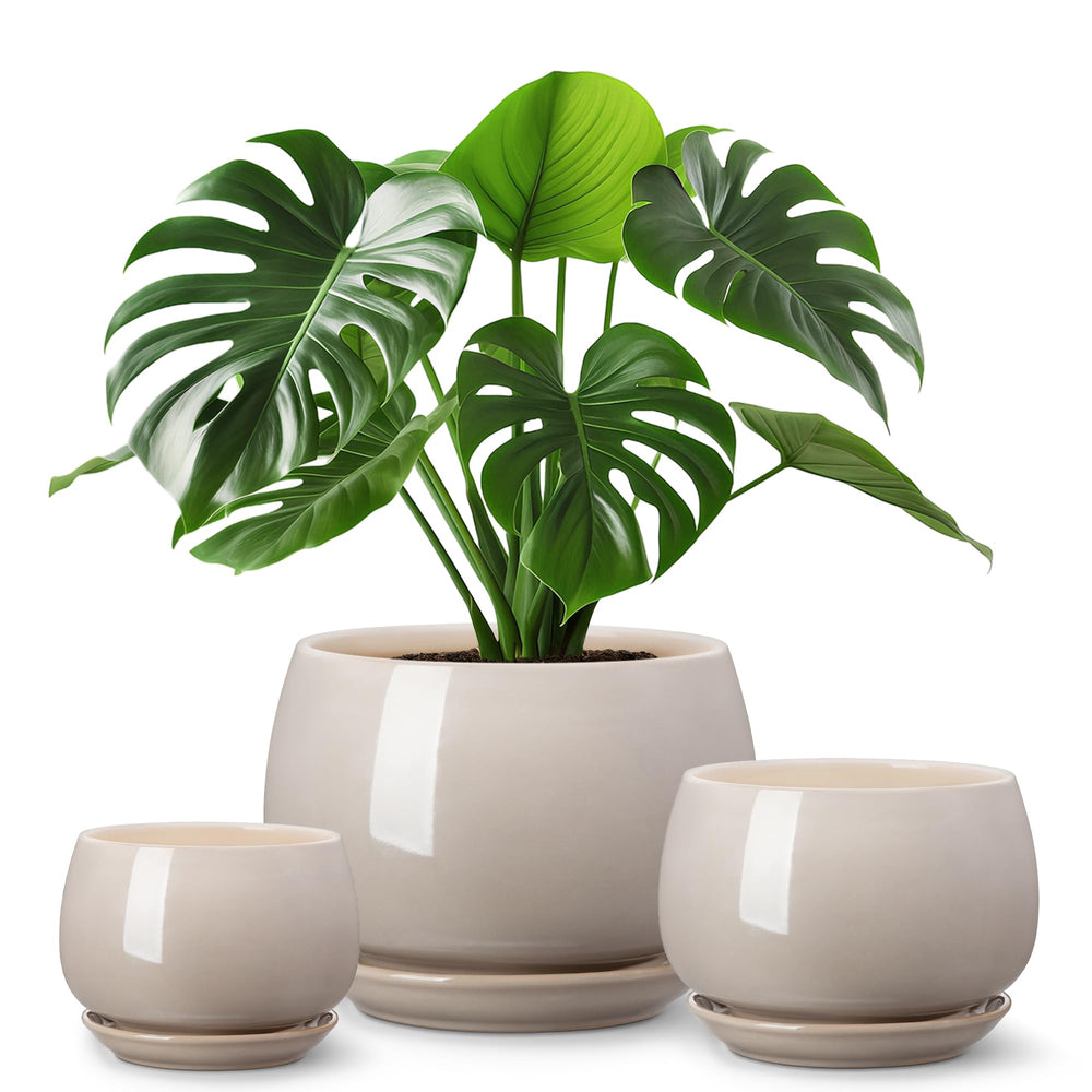 vancasso 3-Pack Ceramic Plant Pots set including 3.7, 4.8, and 6.2 inch pots in gray