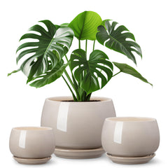 vancasso 3-Pack Ceramic Plant Pots set including 3.7, 4.8, and 6.2 inch pots in gray