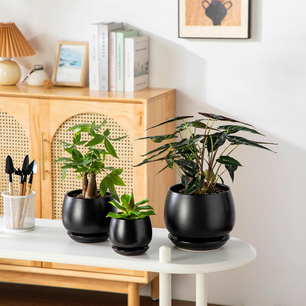 vancasso black ceramic plant pots on a shelf