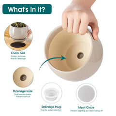vancasso ceramic plant pots displaying various indoor plants