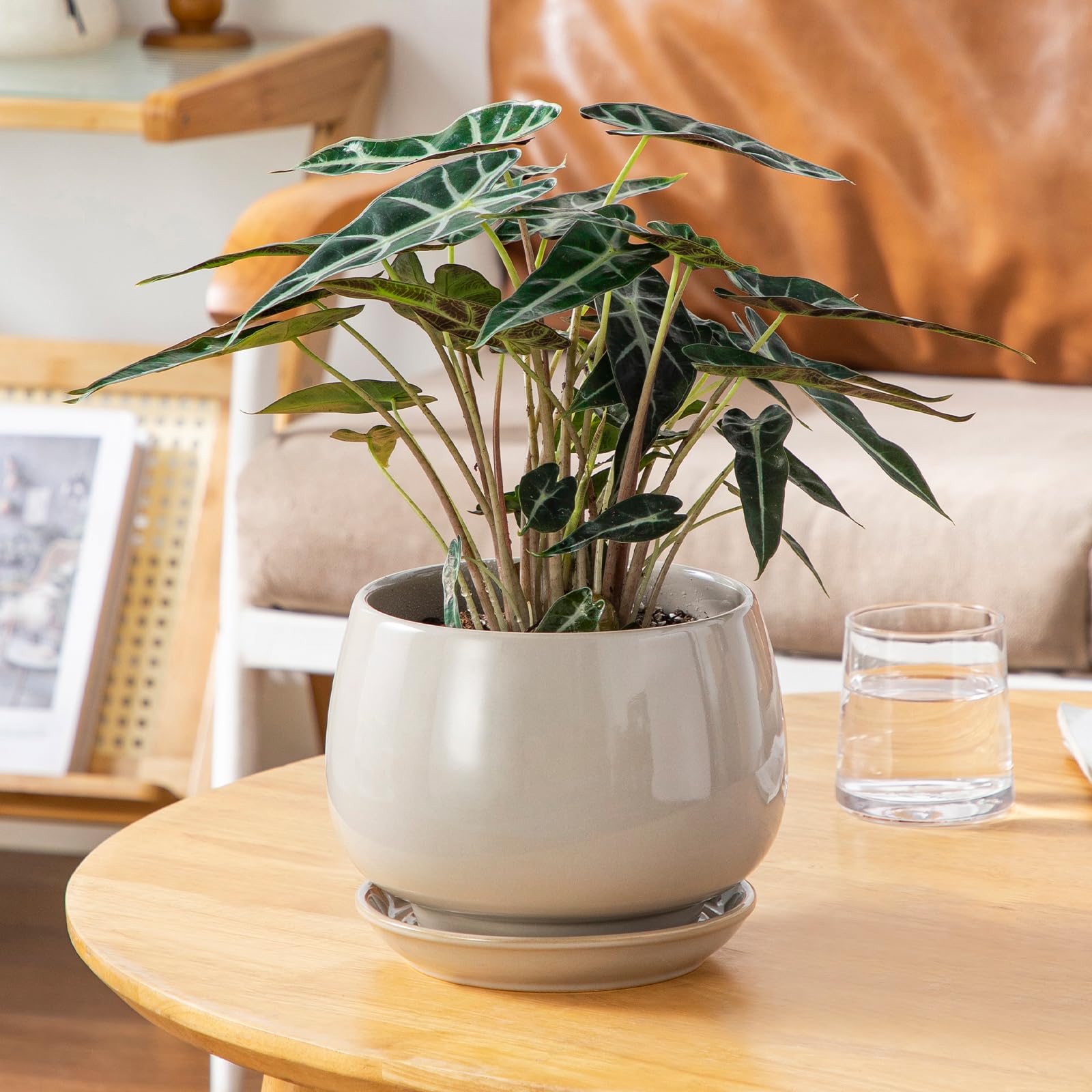 vancasso ceramic plant pots in a modern indoor setting
