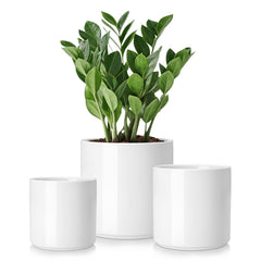 vancasso ceramic plant pots set of 3 in white color