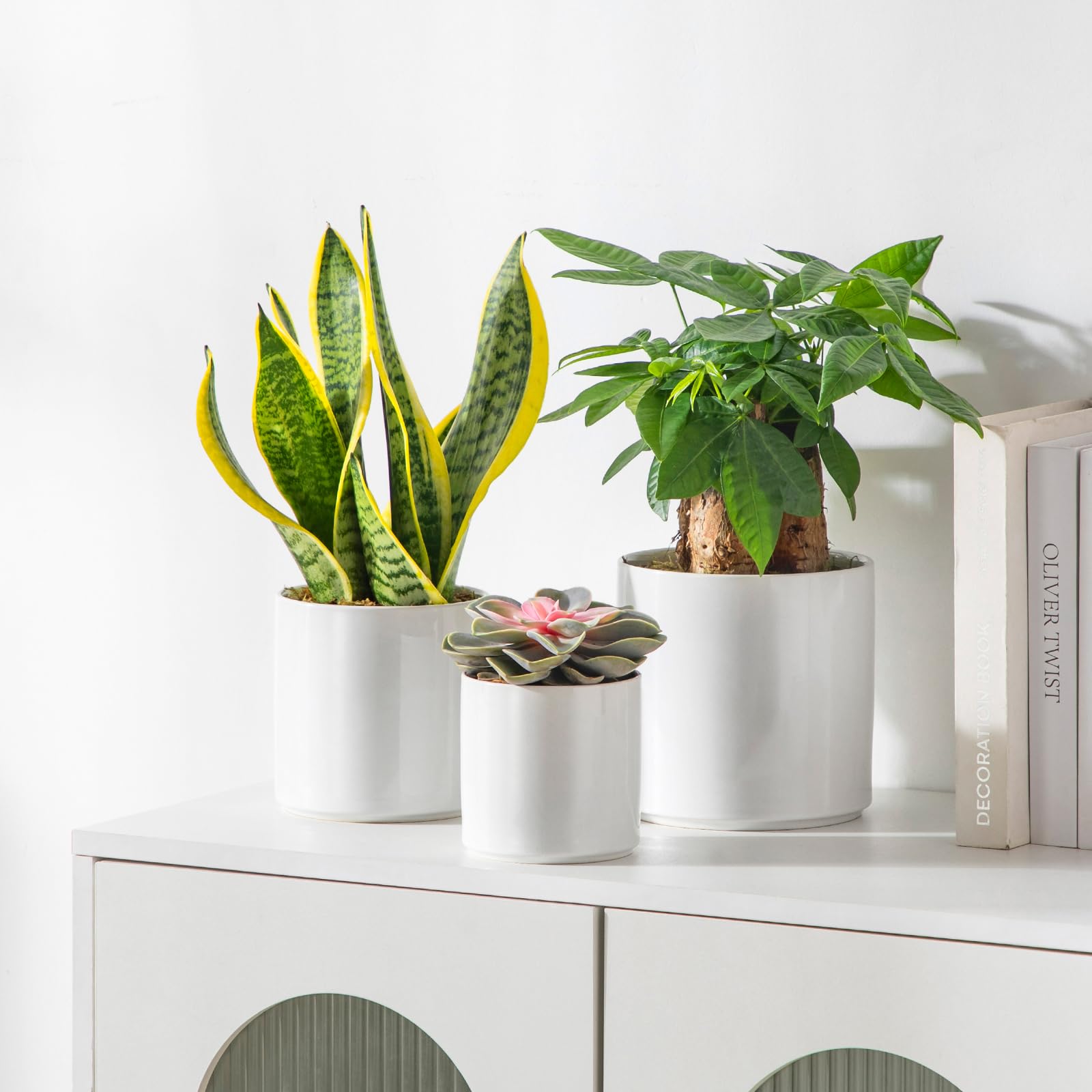vancasso ceramic pots set on a table with plants
