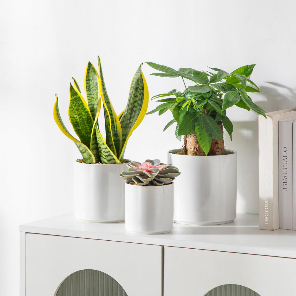 vancasso ceramic pots set on a table with plants
