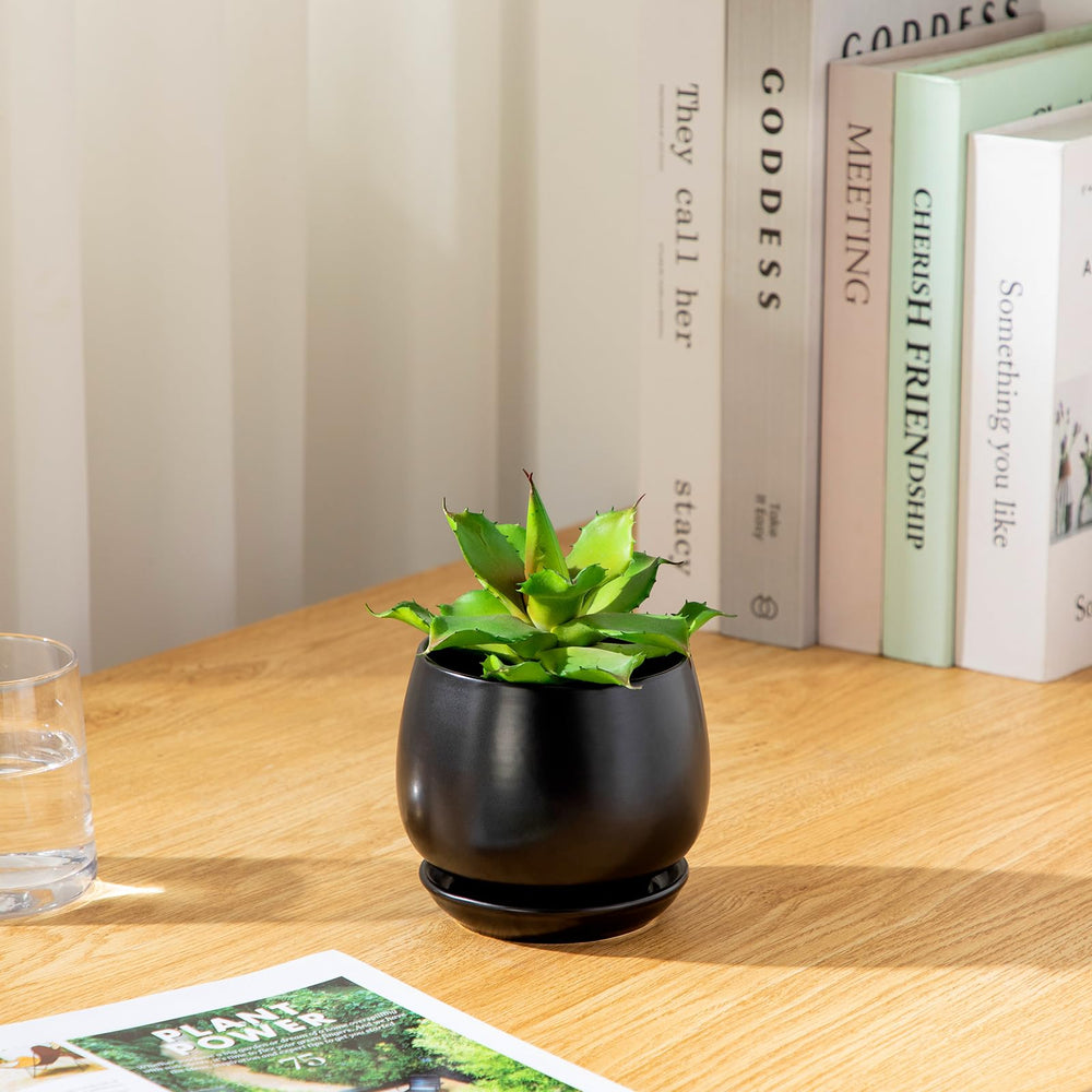 vancasso plant pots in a modern home setting