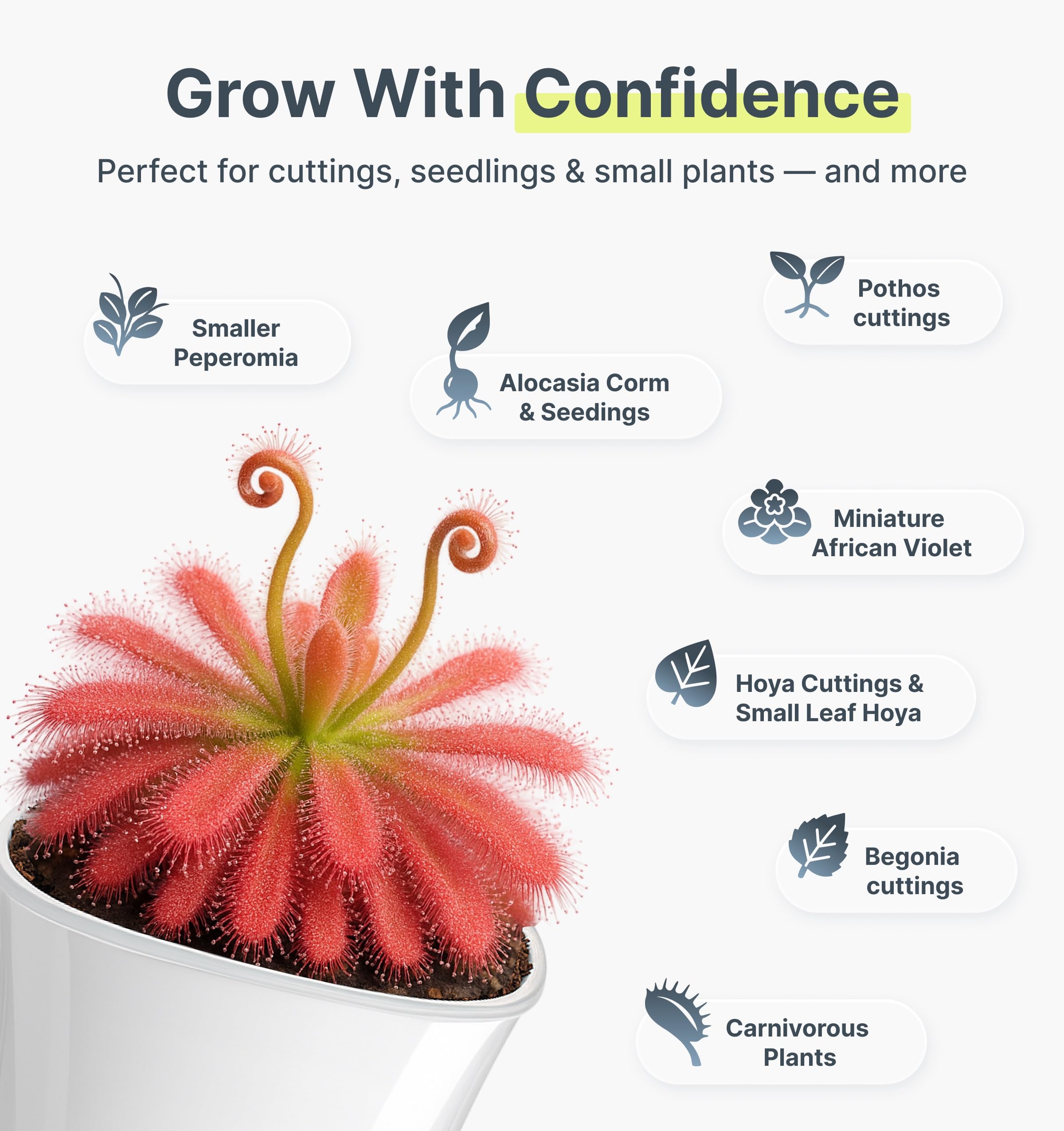 Vandorelle pot with plants showcasing the top refilling design