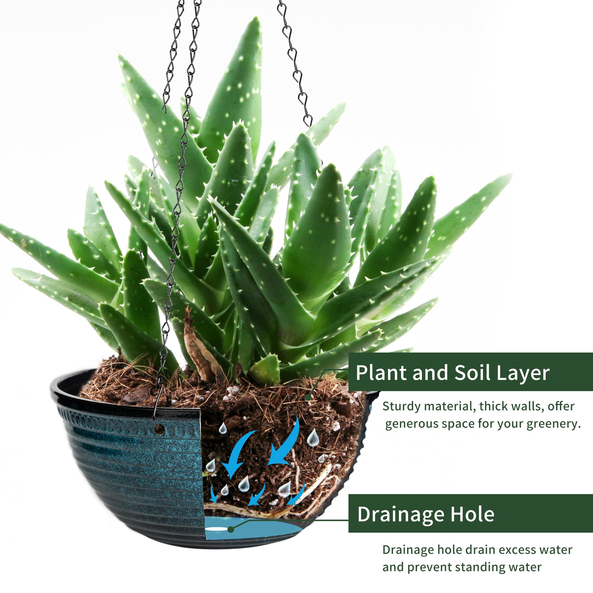 Vanslogreen 12 Inch Hanging Planter displayed with plants