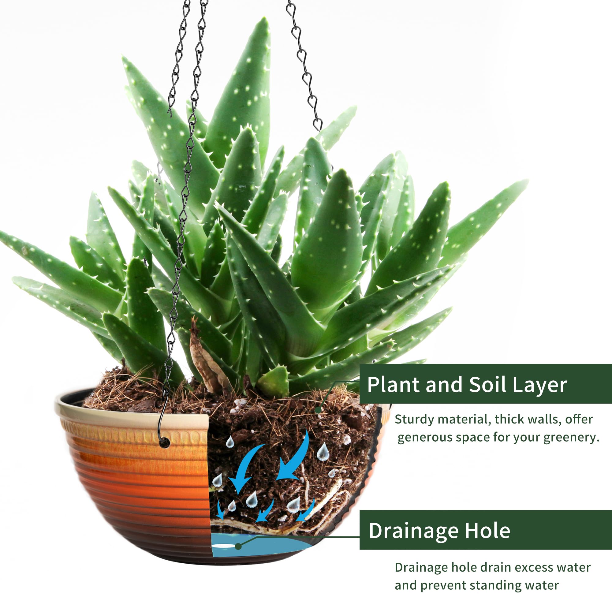 Vanslogreen 12 Inch Hanging Planter in outdoor garden setting