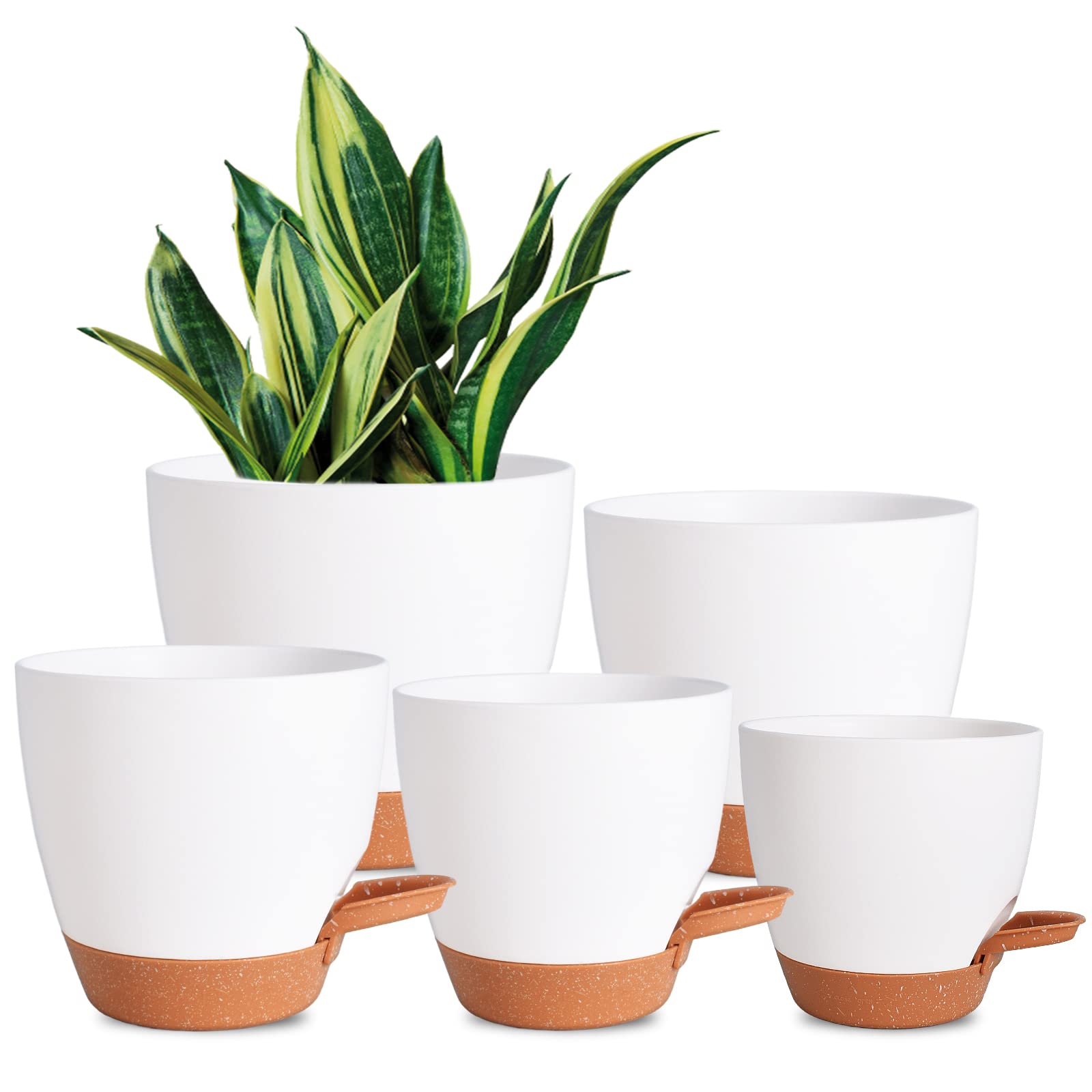 Vanslogreen 5 pack self watering pots in white on display