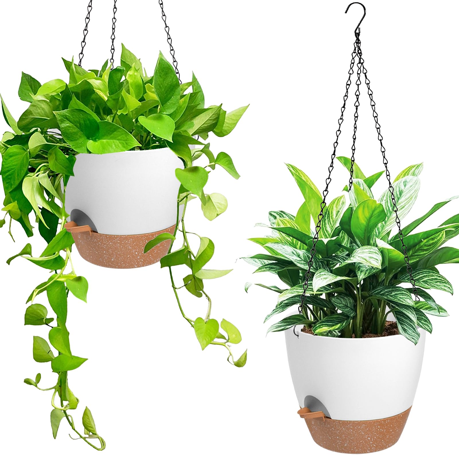 Vanslogreen 6-inch self watering hanging planter front view with removable tray
