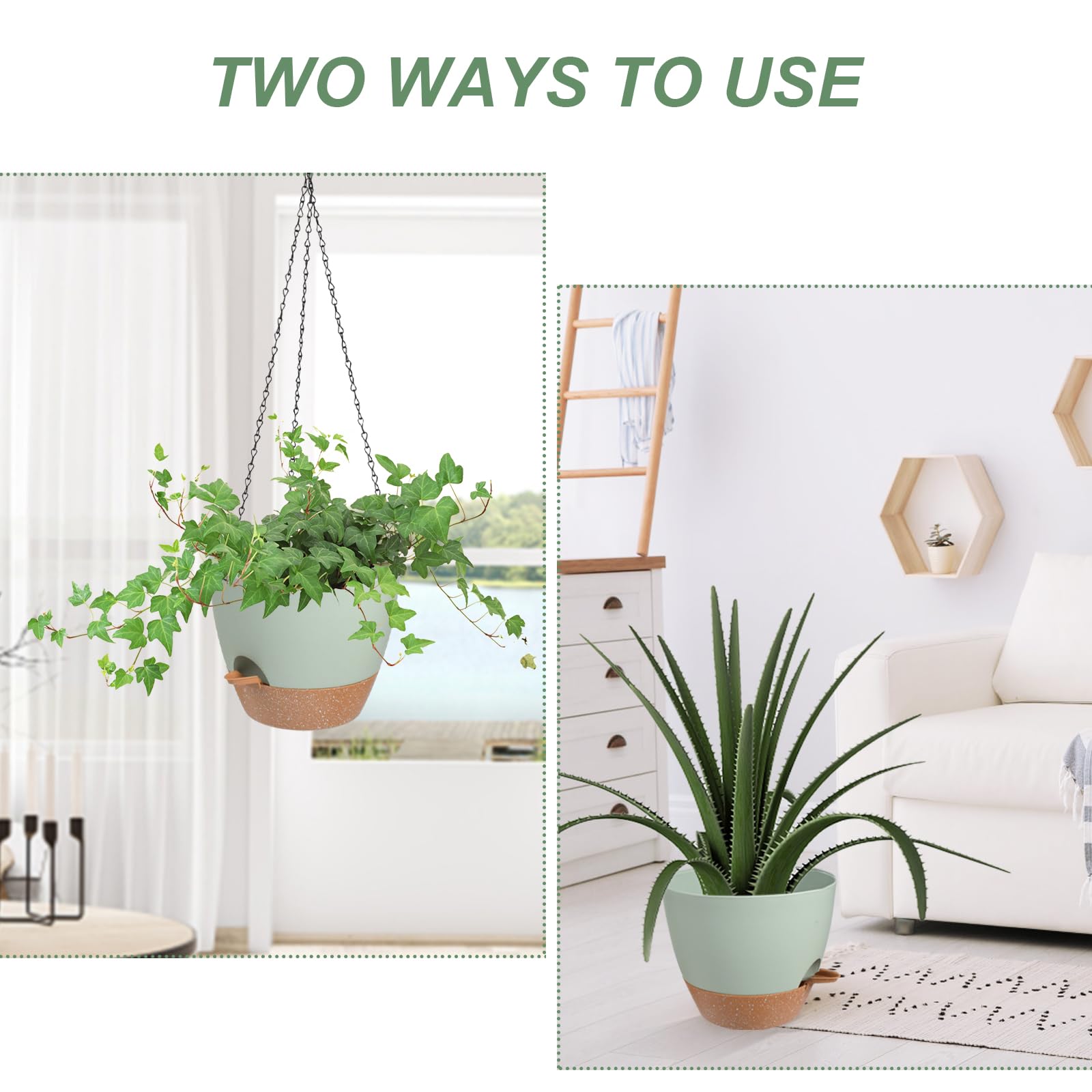 Vanslogreen planter hanging on a porch with plants inside