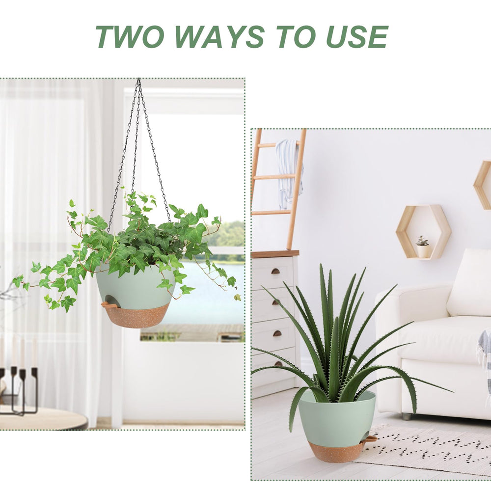 Vanslogreen planter hanging on a porch with plants inside