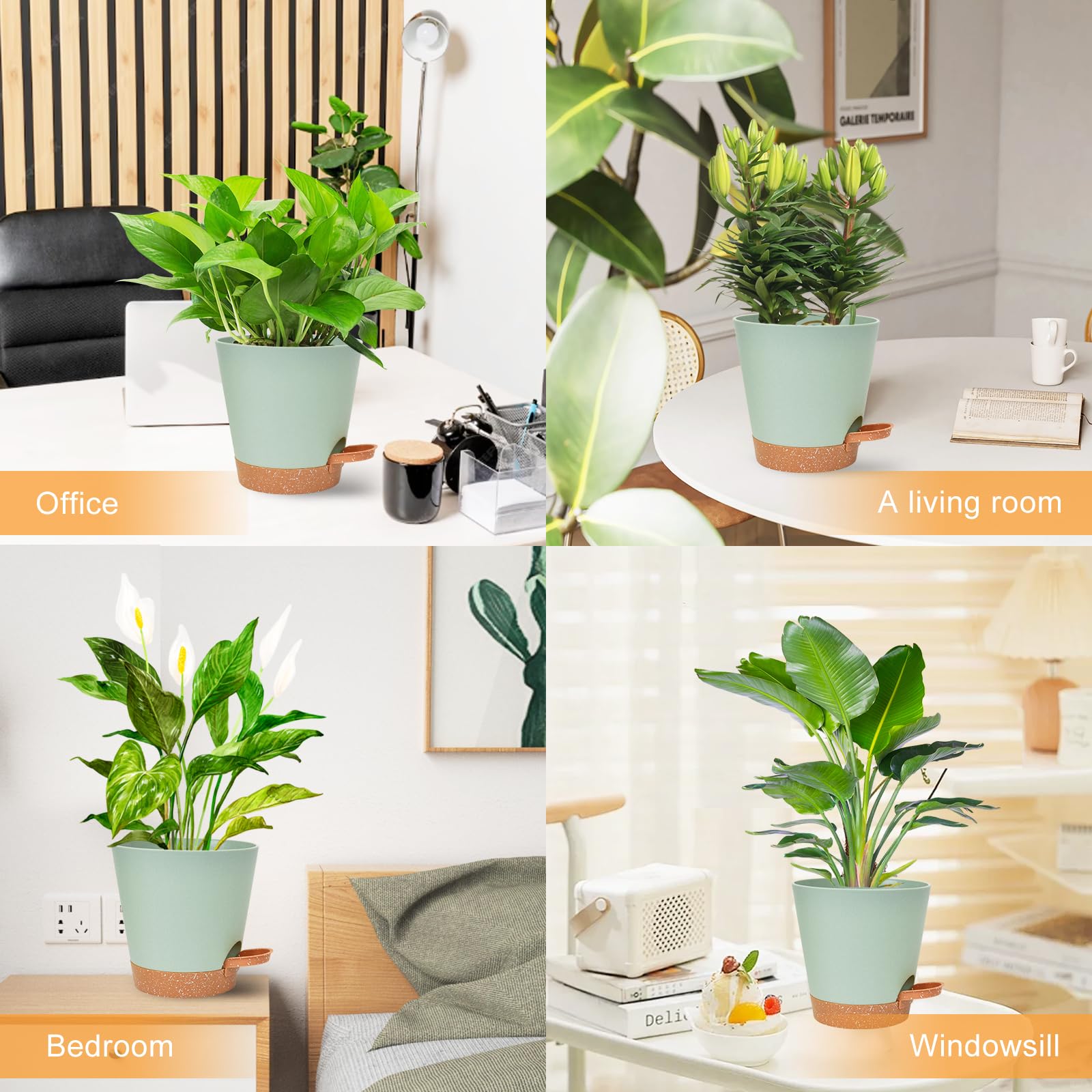 Vanslogreen planters filled with succulents and herbs