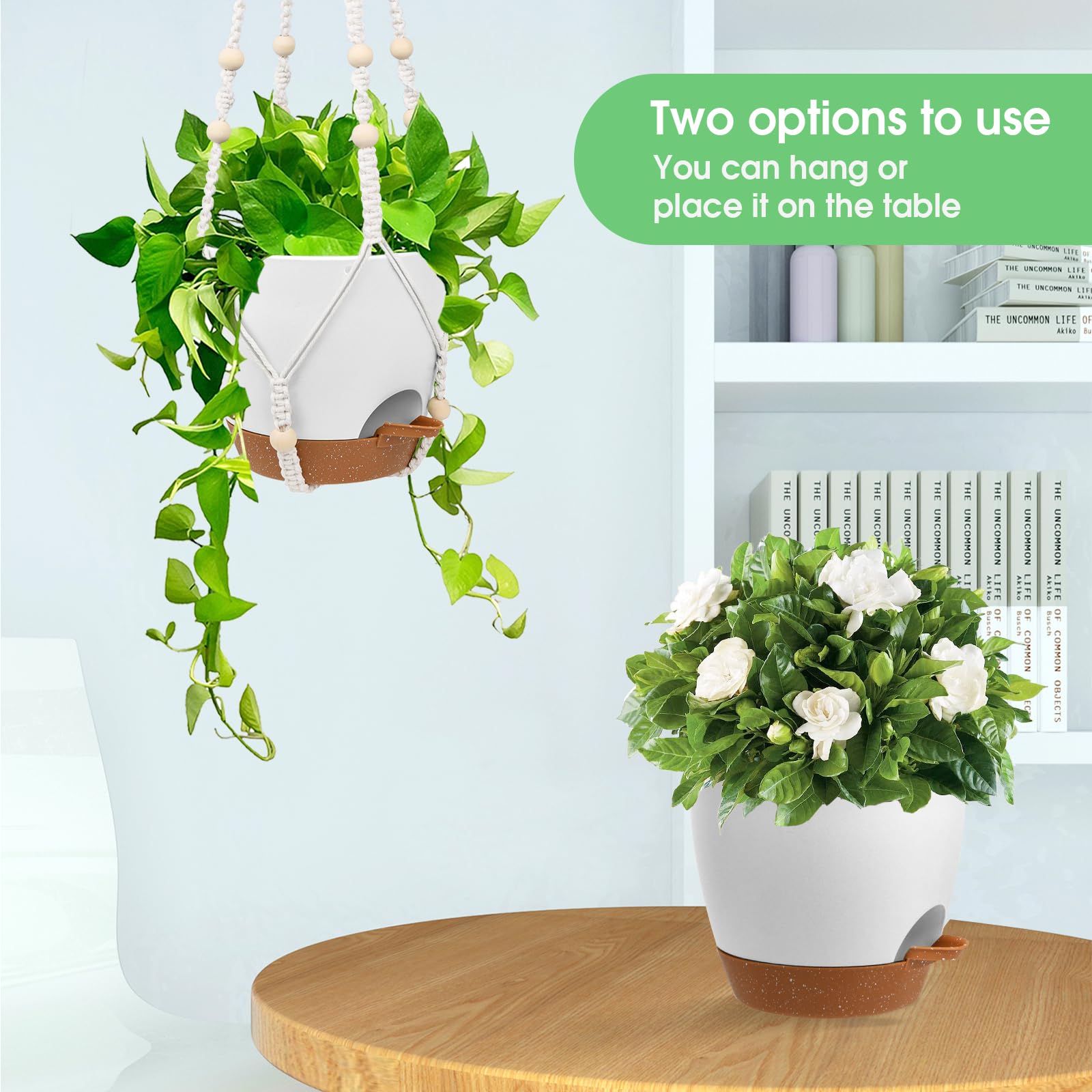 Vanslogreen self-watering hanging planters displayed with various plants