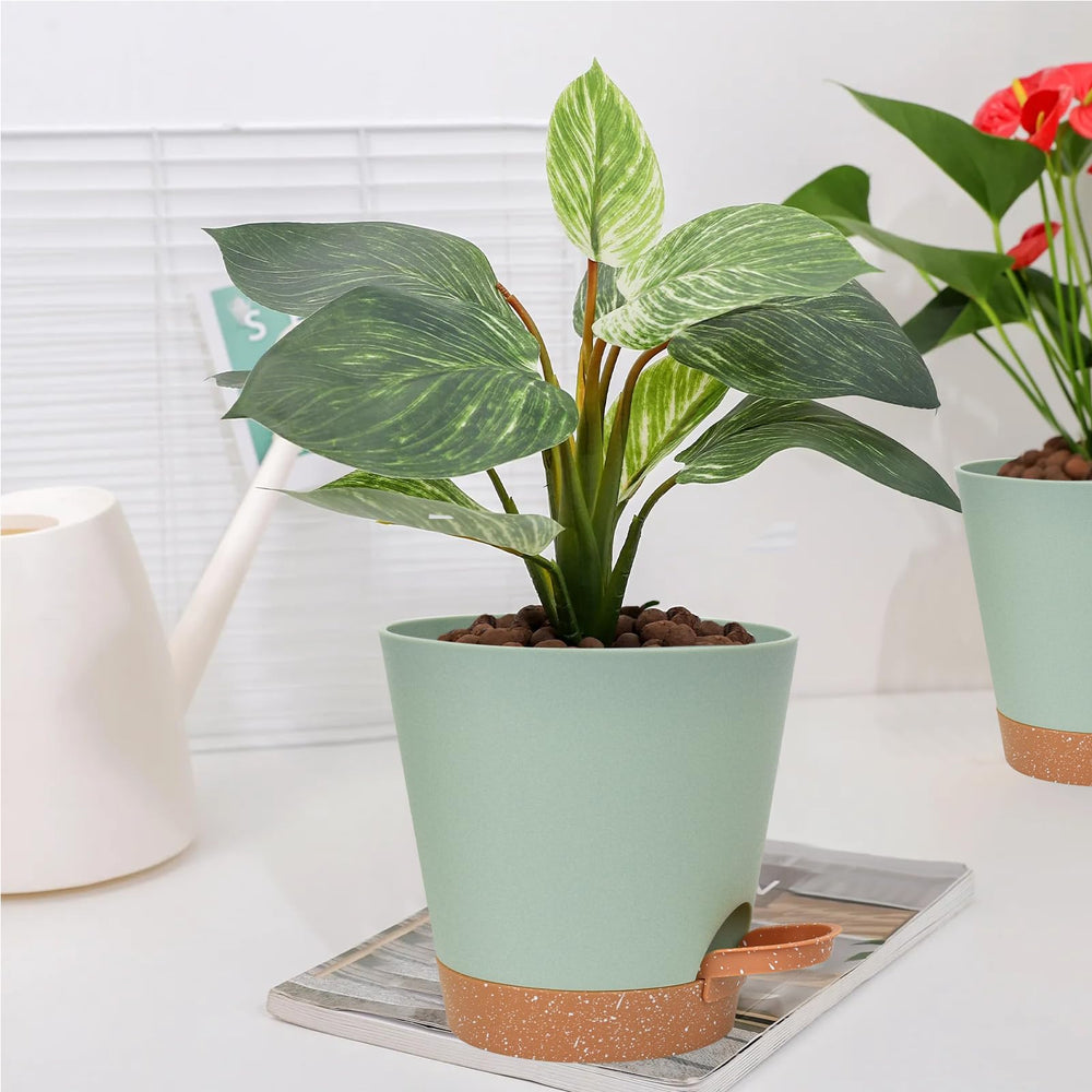 Vanslogreen self watering planter showing drainage holes