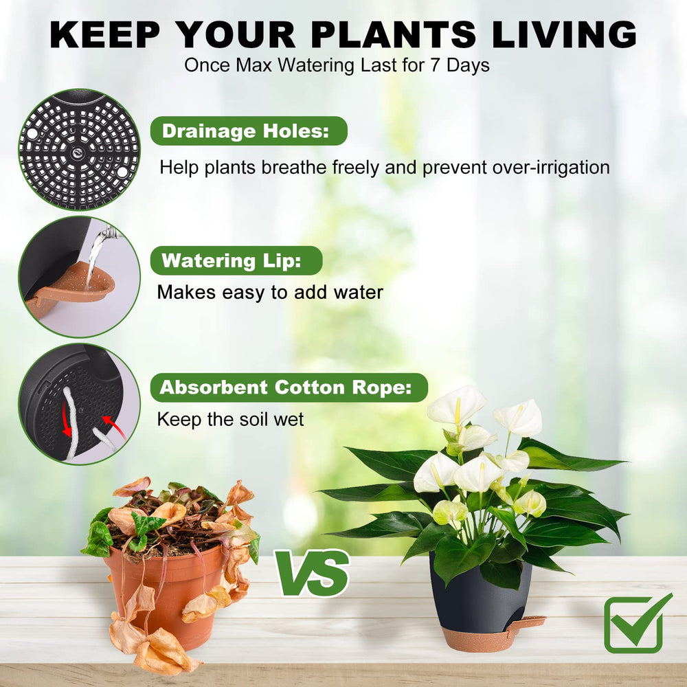 Vanslogreen Self Watering Pot 5.5 inch side view