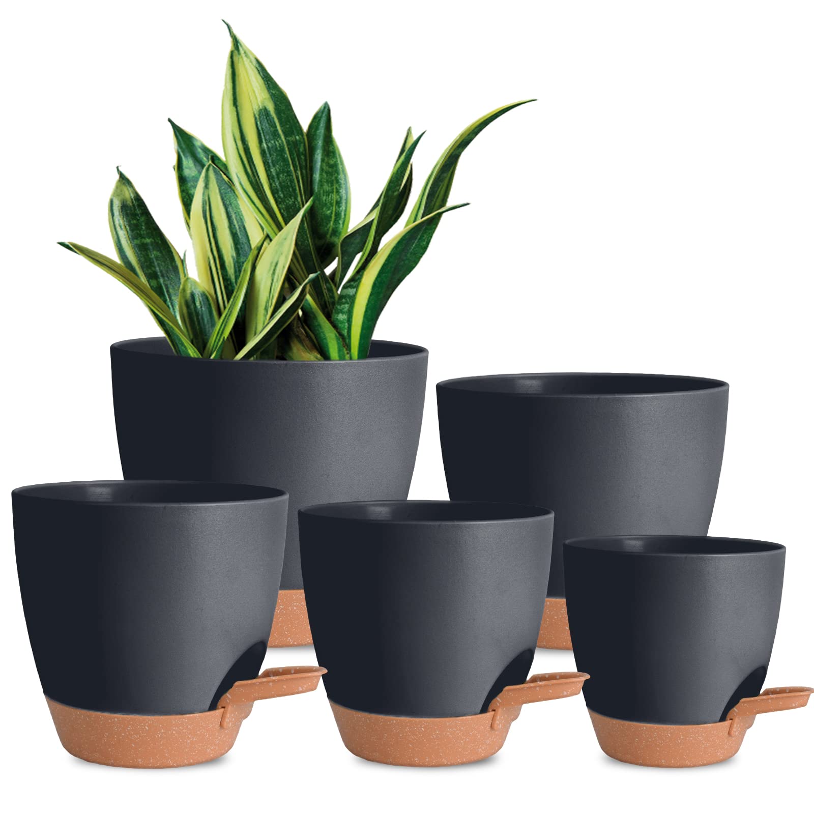Vanslogreen Self Watering Pot 5 inch front view
