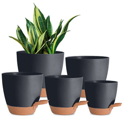 Vanslogreen Self Watering Pot 5 inch front view
