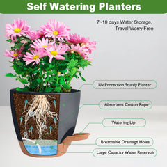Vanslogreen Self Watering Pot 6 inch with plant