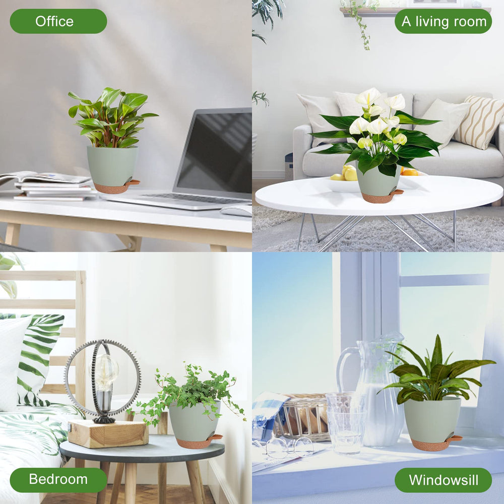Vanslogreen self watering pot in an indoor setting