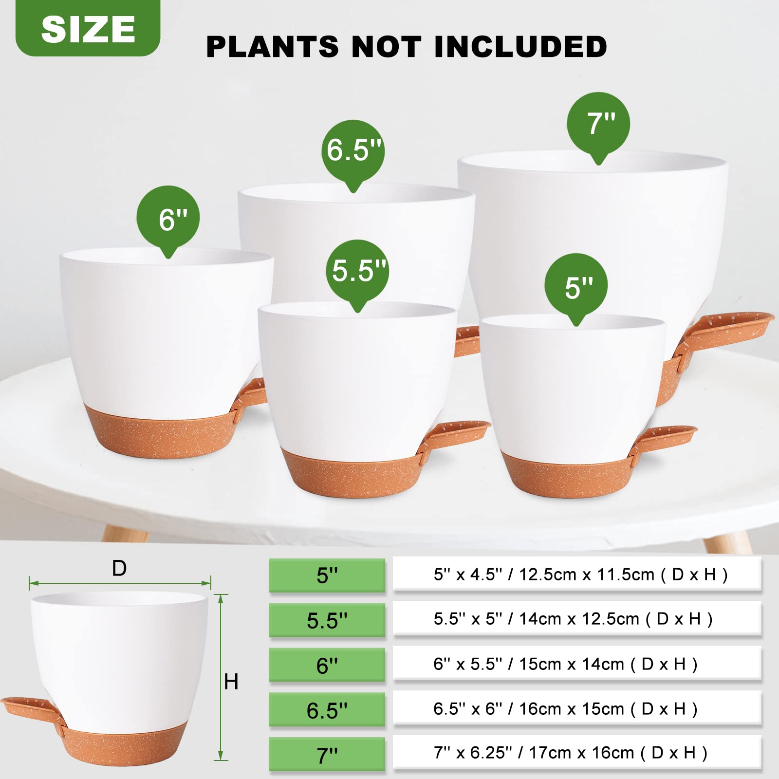 Vanslogreen self watering pot with a succulent inside