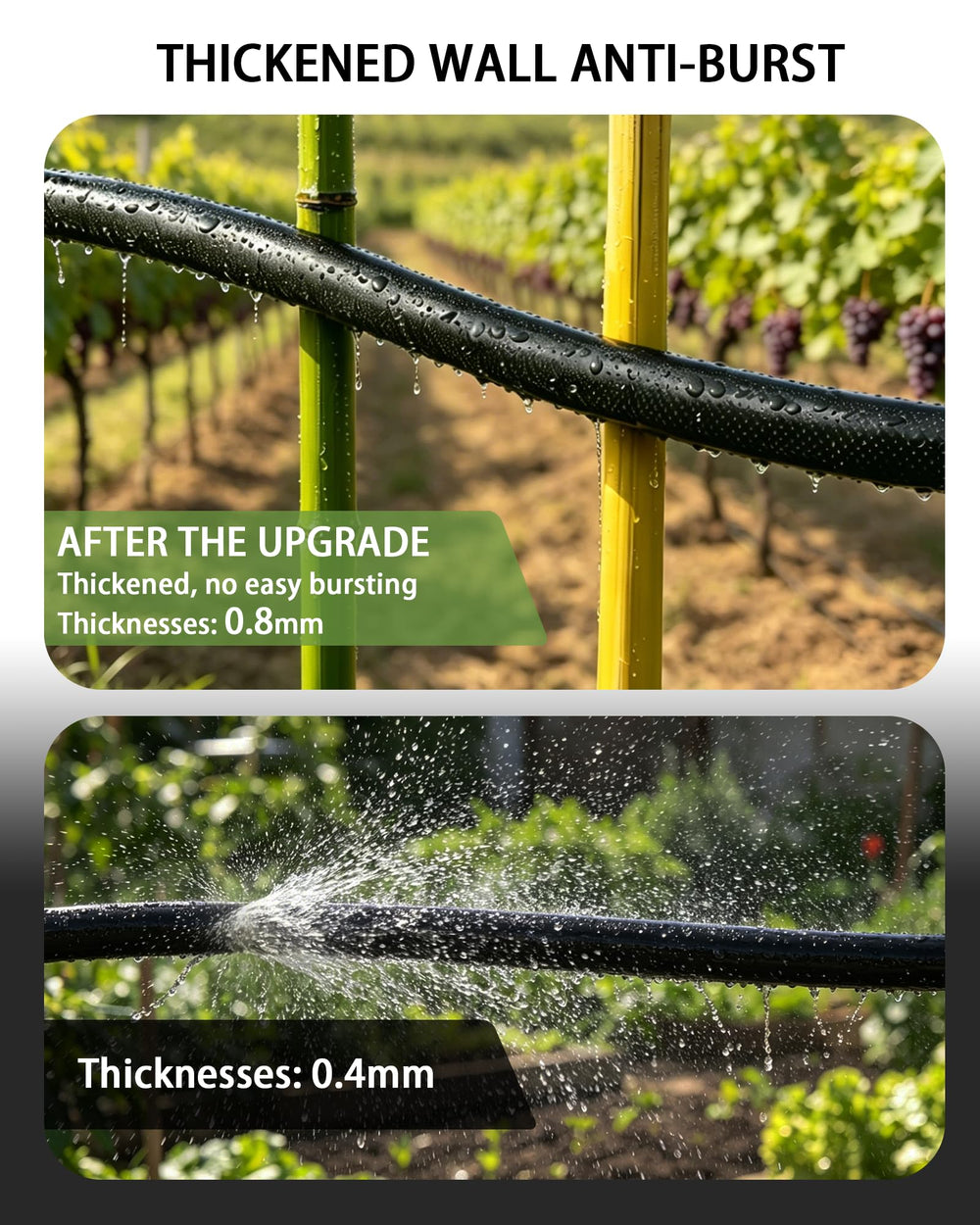 Vantigreen Flat Soaker Hose rolled up for storage