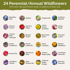 Variety of flowers blooming from Eden Brothers wildflower seeds