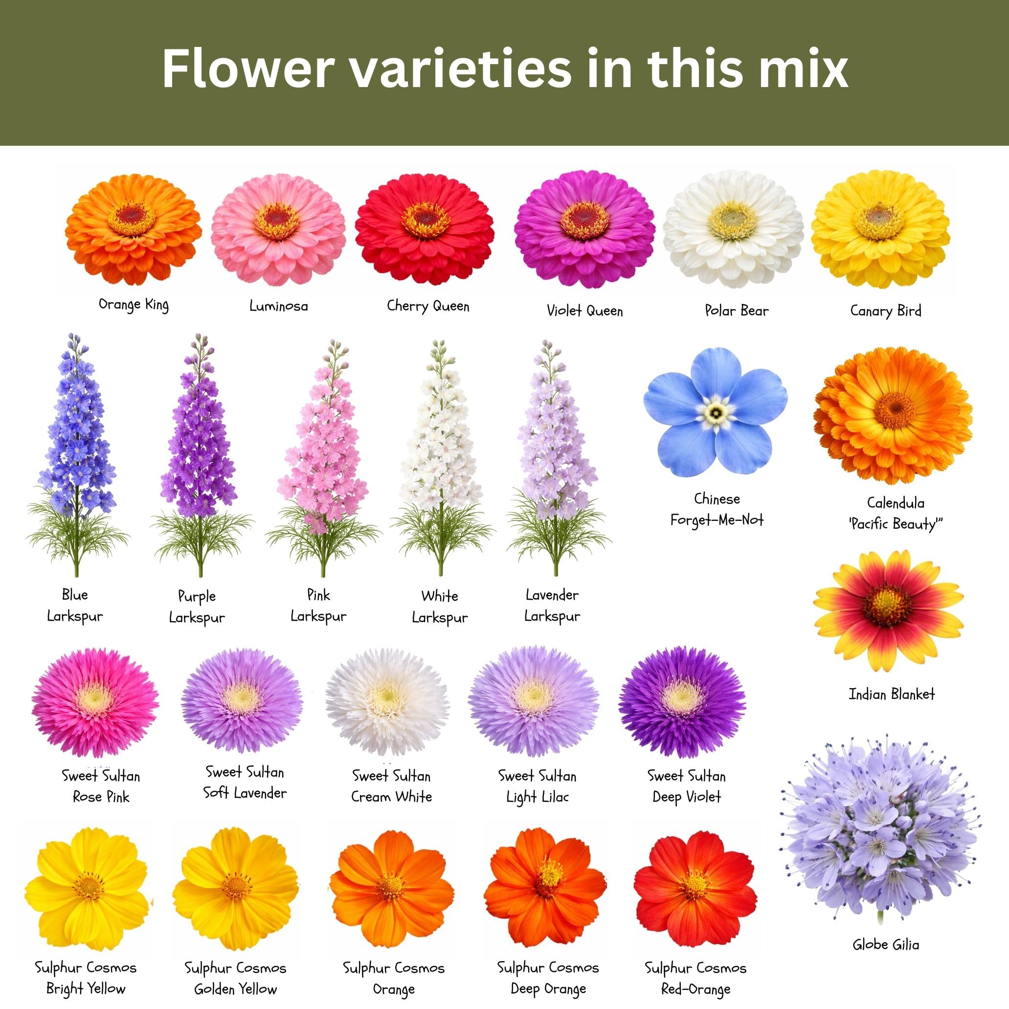 Variety of flowers blooming from SunHaven Seeds Cut Flower Seed Mix