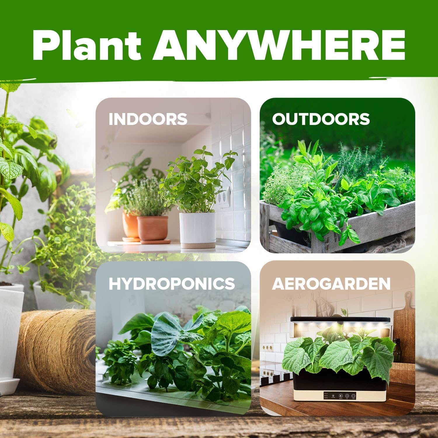 Variety of herb seeds included in HOME GROWN pack