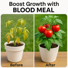 Variety of plants nourished by Gardenera Organic Blood Meal Fertilizer