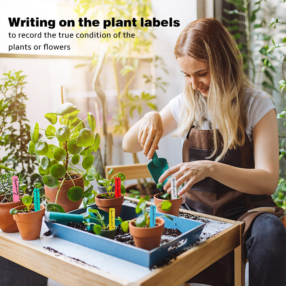 Variety of TDHDIKE plant labels used in a greenhouse