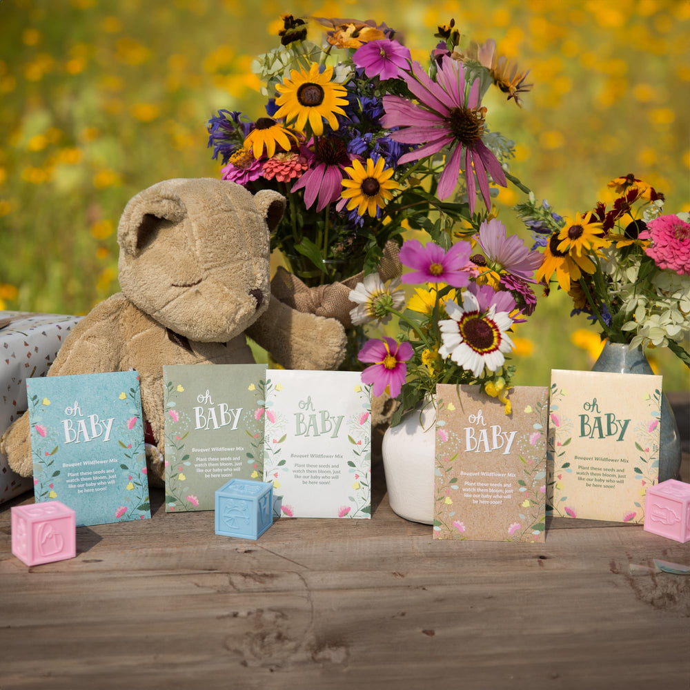 Variety of wildflowers blooming from planted seeds