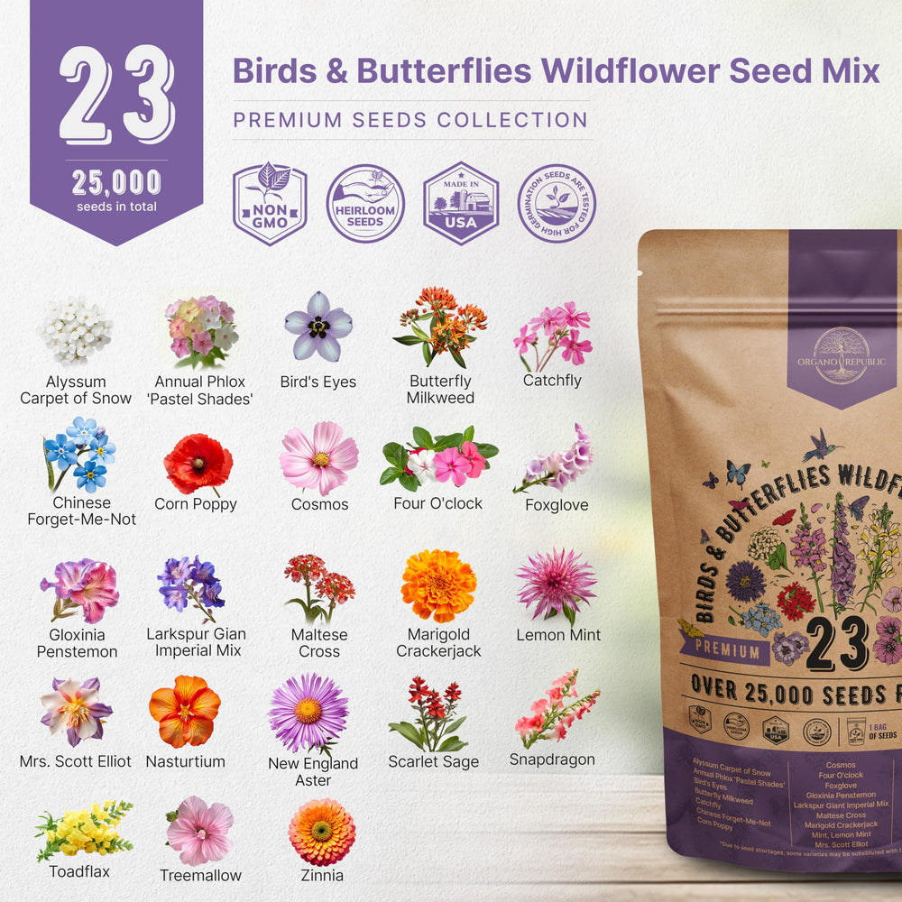 Variety of wildflowers grown from Organo Republic seeds