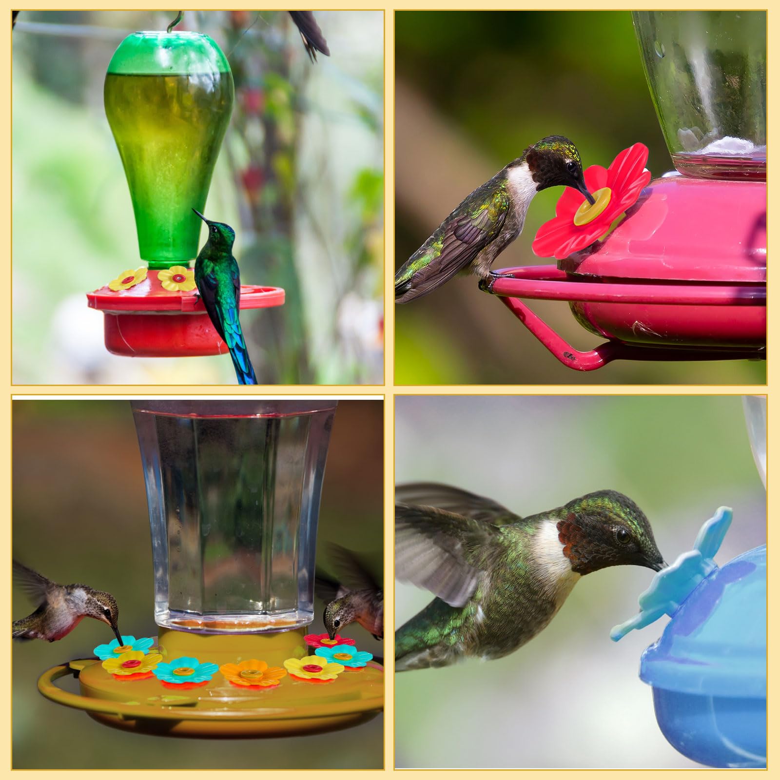 Various angles of Patelai hummingbird feeder flowers