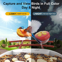 various attachments for the birdsnap PAV Bird Feeder