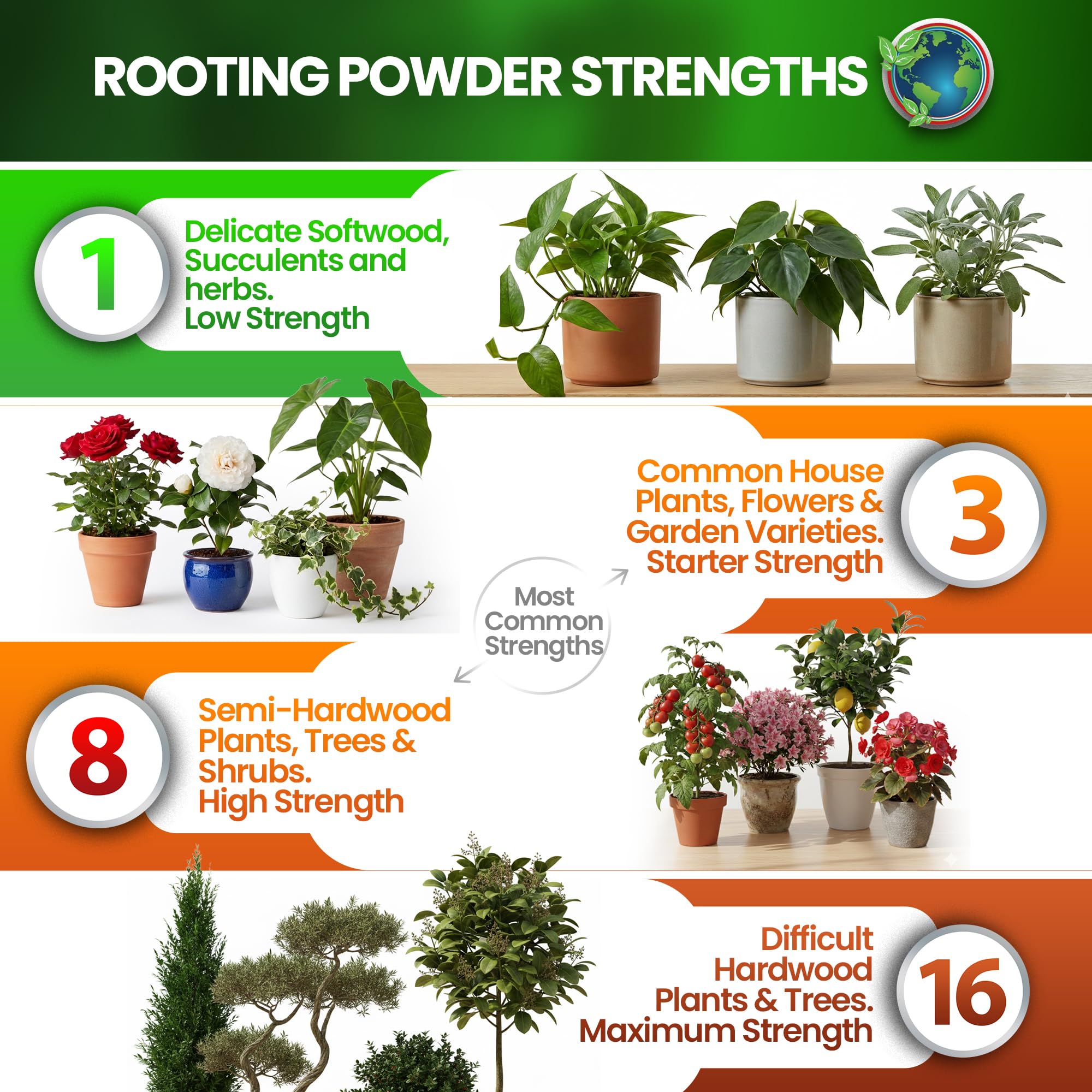 Various plant cuttings prepared with Hormex Rooting Hormone Powder