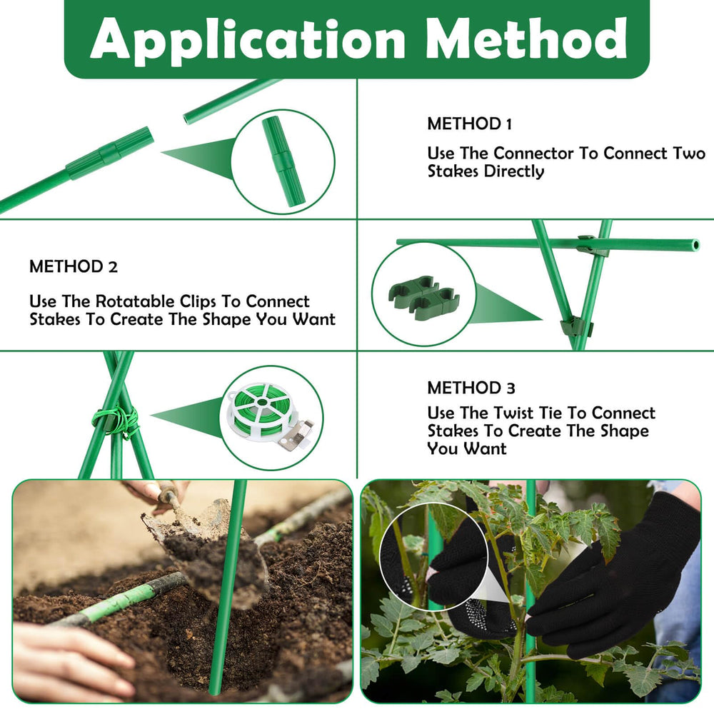 Various plants secured with Cludoo garden stakes
