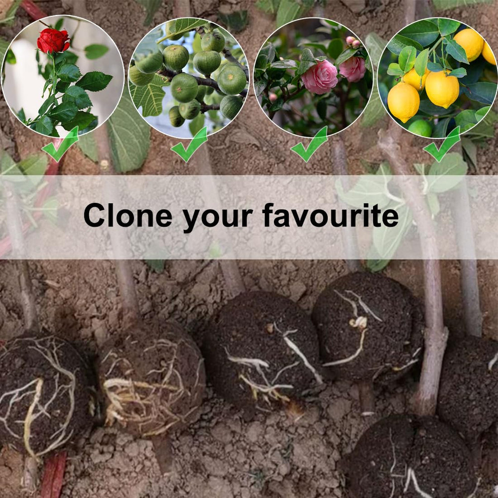 Various plants suited for MIIIM Air Layering Kit