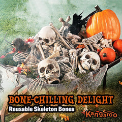 Various sizes of Kangaroo skeleton bones on grass
