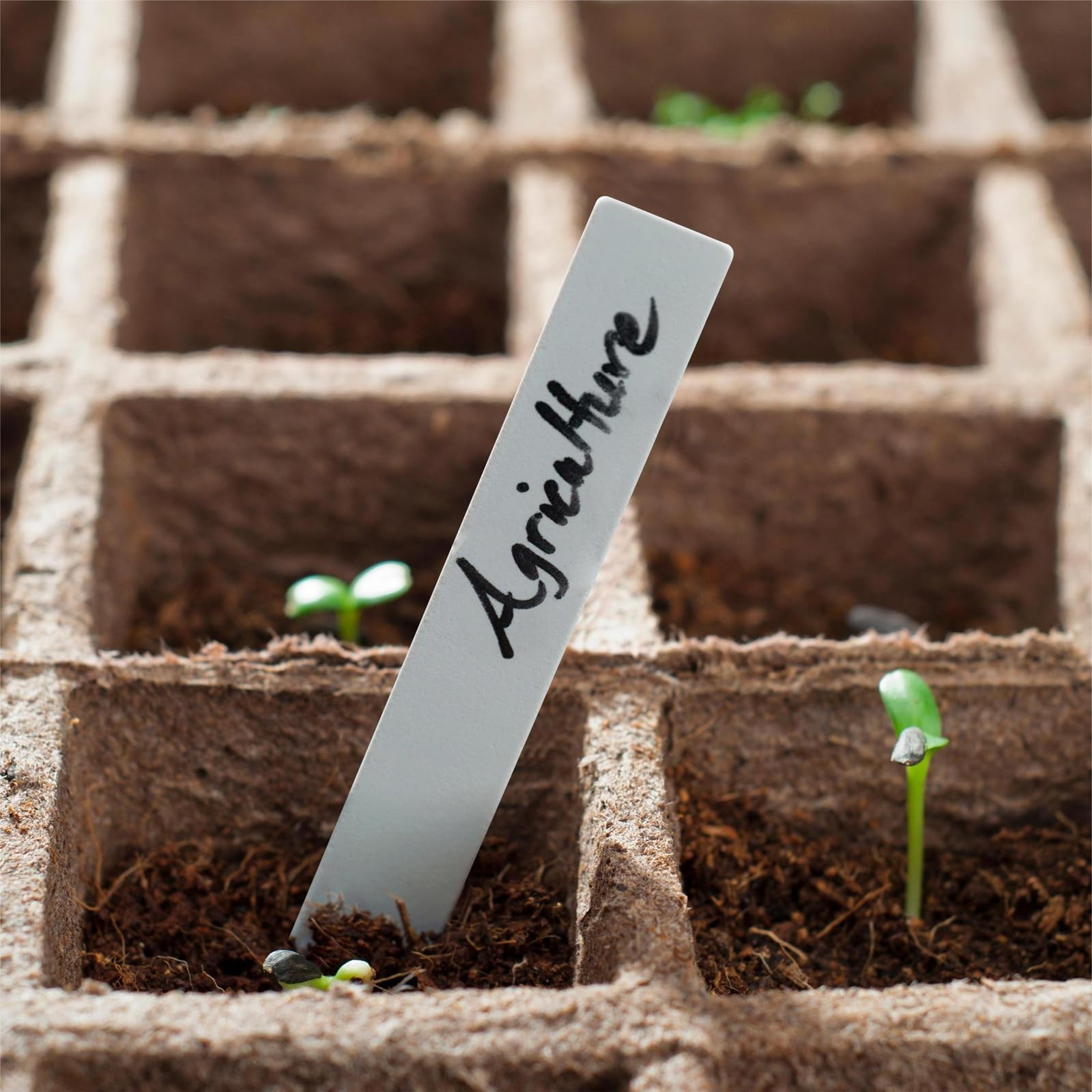Various uses of Dalzom plant labels in a garden