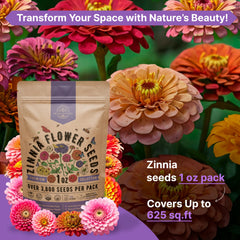 Various zinnia flowers in a garden setting