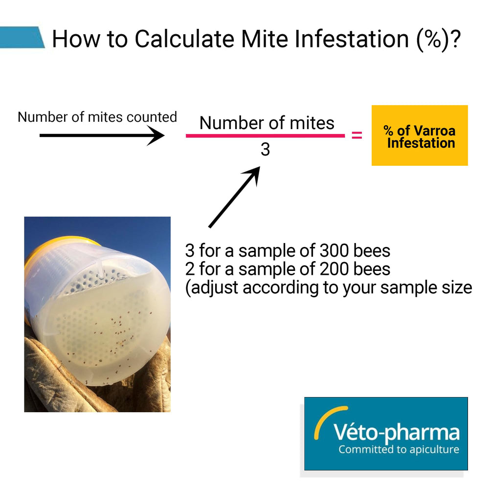 Varroa Easy Check Mite Tester with alcohol wash method