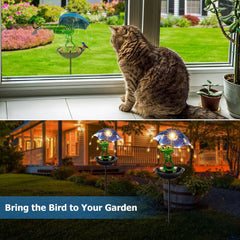 Vbioa Solar Bird Feeder Frog Garden Decor with feeding bowl filled with seeds