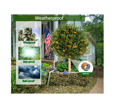 Vecacosic tree wrap packaging with dimensions