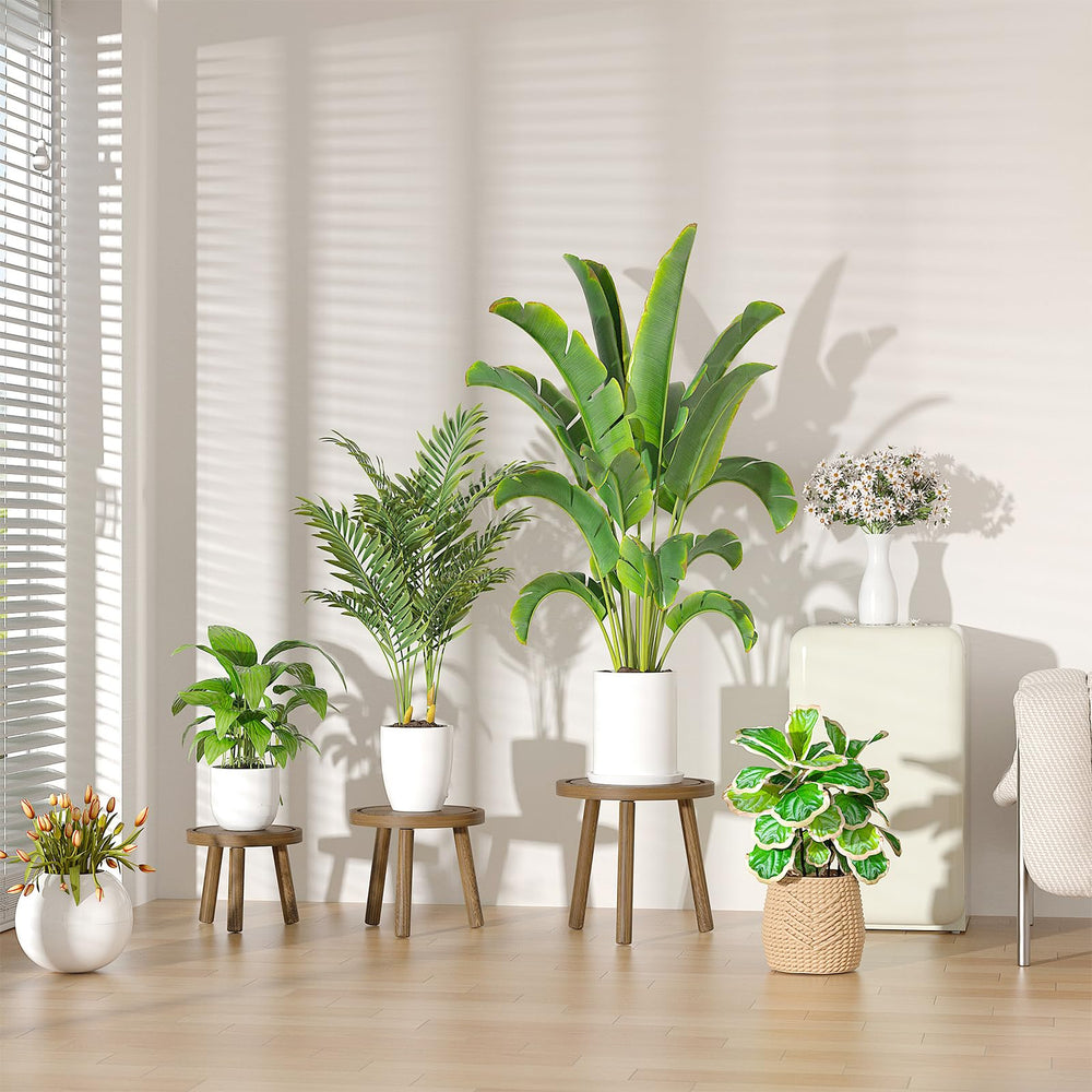 Vecxoty Plant Stand with decorative items