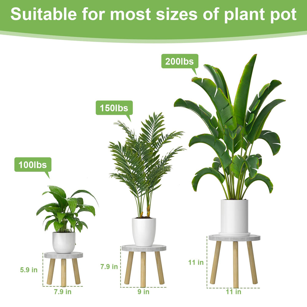 Vecxoty plant stands arranged with various indoor plants