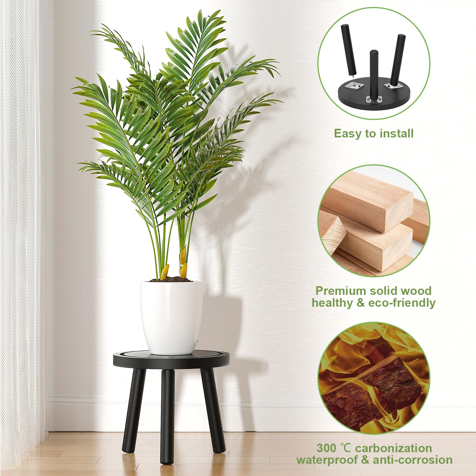 Vecxoty wood stand with a small succulent plant