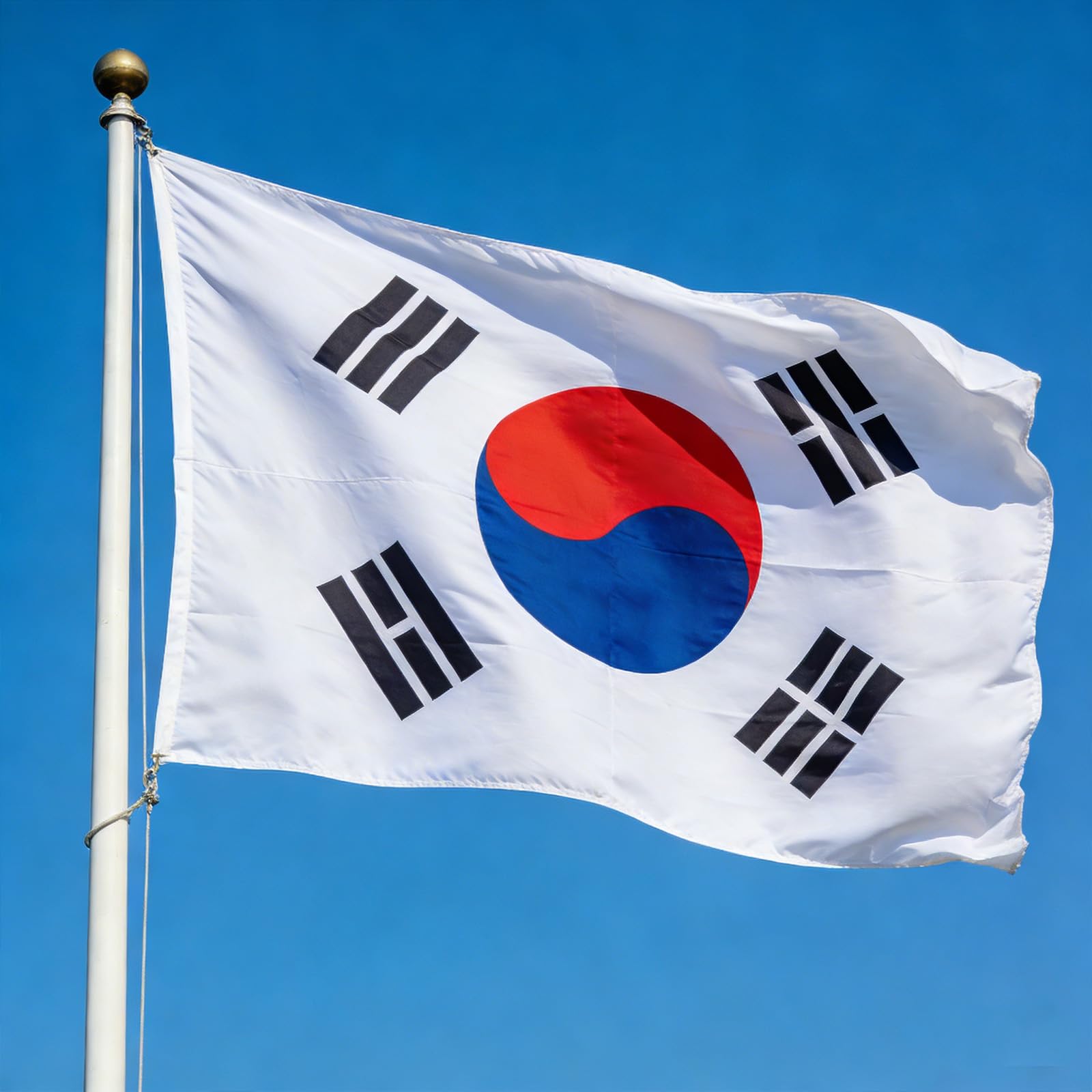 VELIFFCO Korean Flag on display in a garden setting