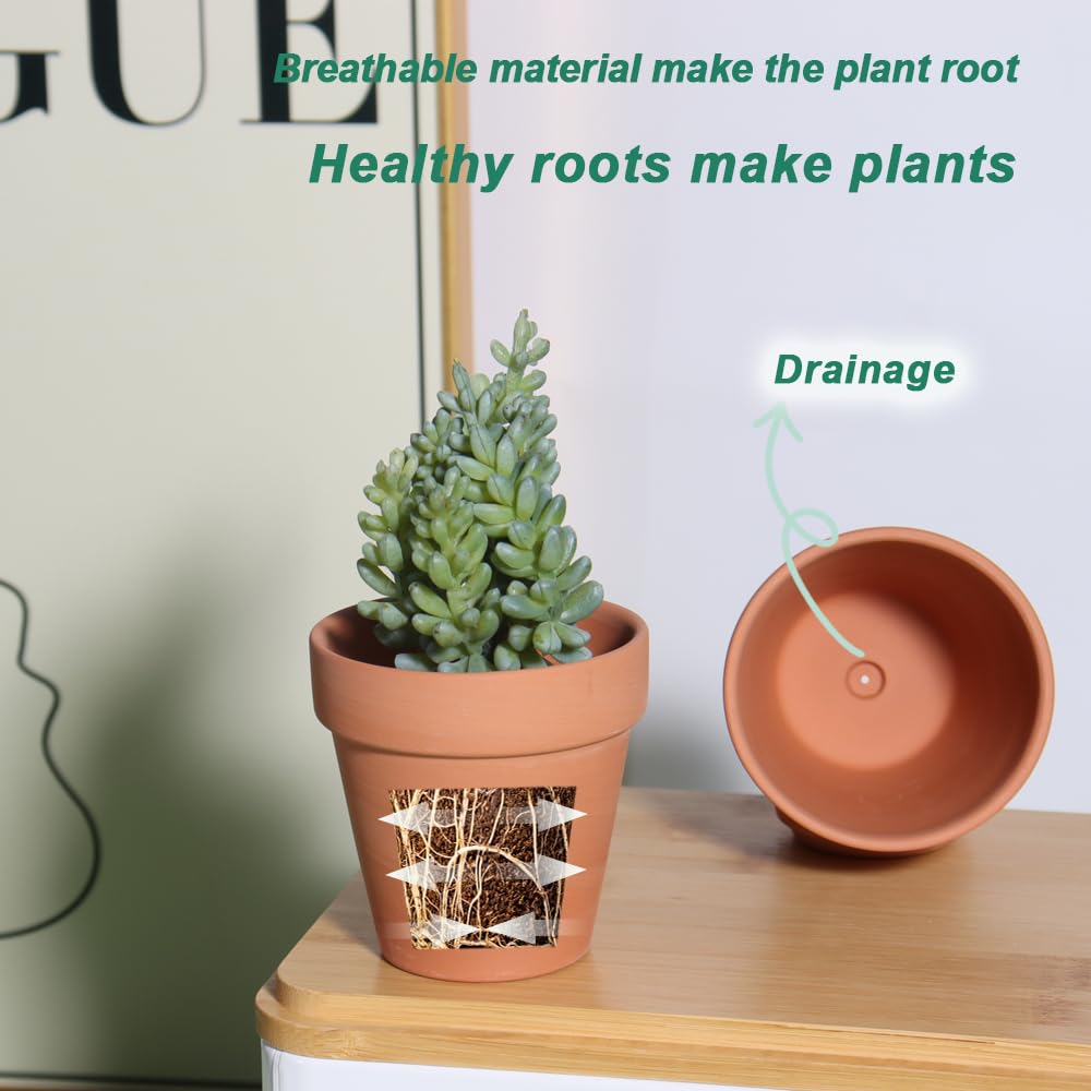 vensovo 20 pack of clay pots on a table
