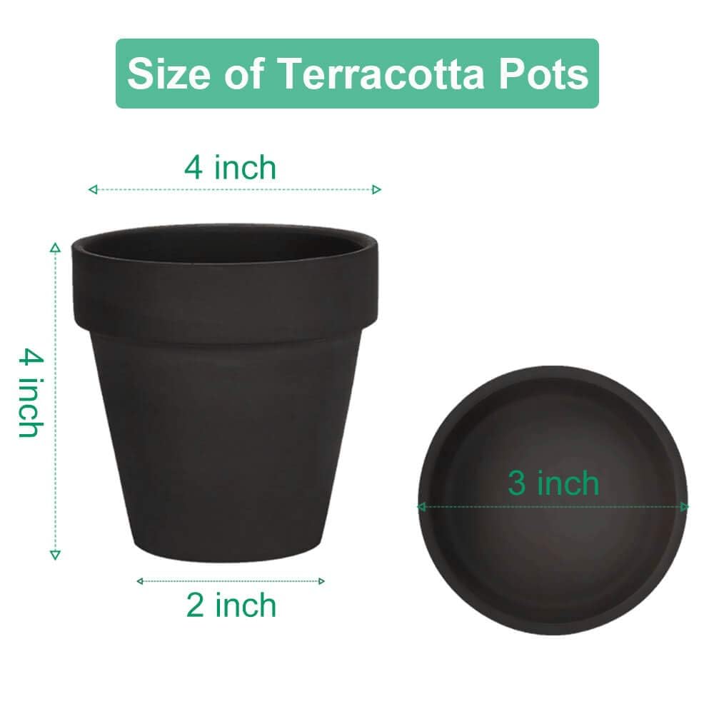 vensovo 4 inch black terracotta pots arranged in a row